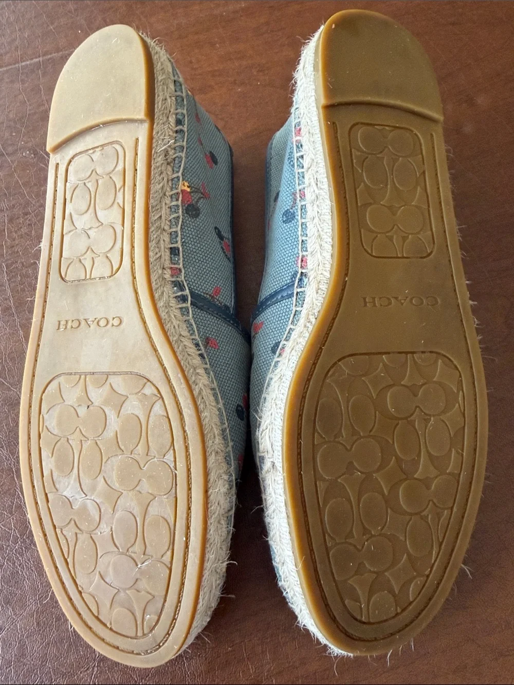 Coach Sage Blue Floral Canvas Espadrilles